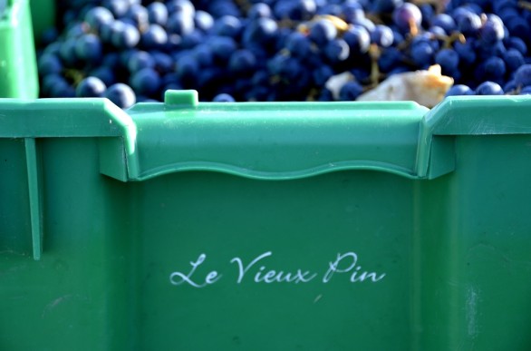 lvp box w grapes