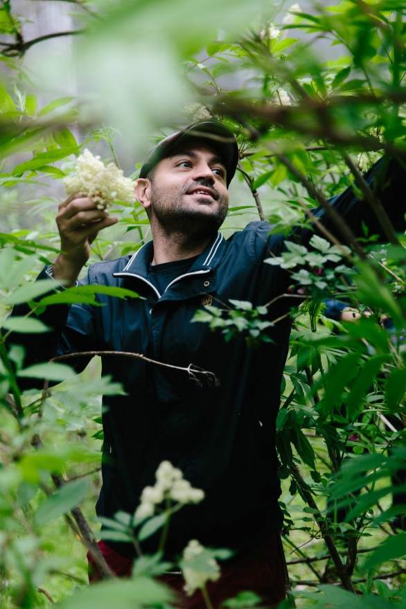 Forest to Table YVR IG-27 lo res