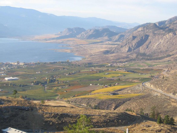 LAS osoyoos lake bench