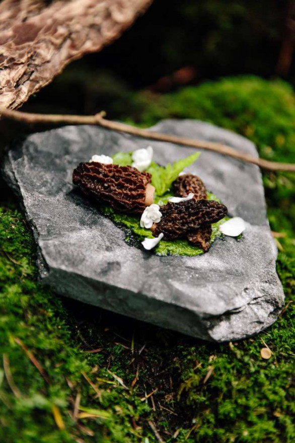 Forest_to_Table_YVR_IG-81 lo res