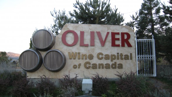 oliver other town of south okanagan home to late ripening heat loving red varieties